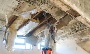 Best Mold Prevention Services  in Fords, NJ